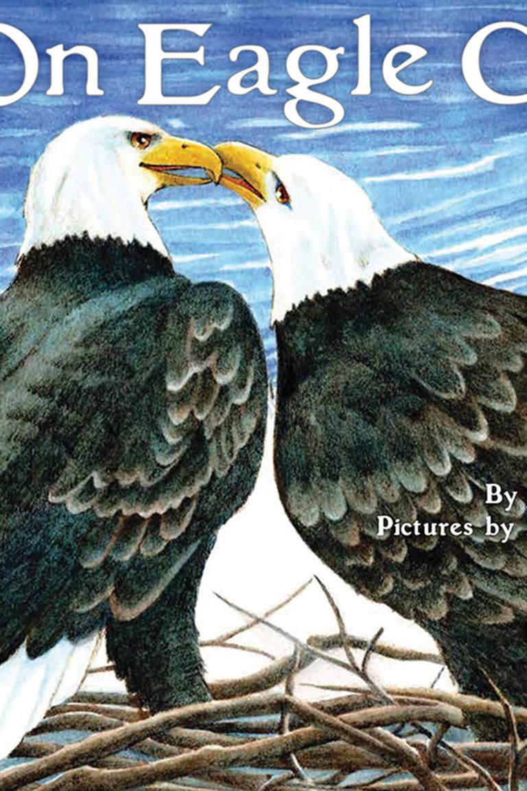 Book cover of On Eagle Cove by Jane Yolen