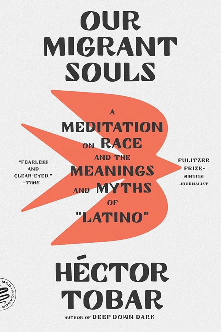 Book cover Our Migrant Souls by Héctor Tobar