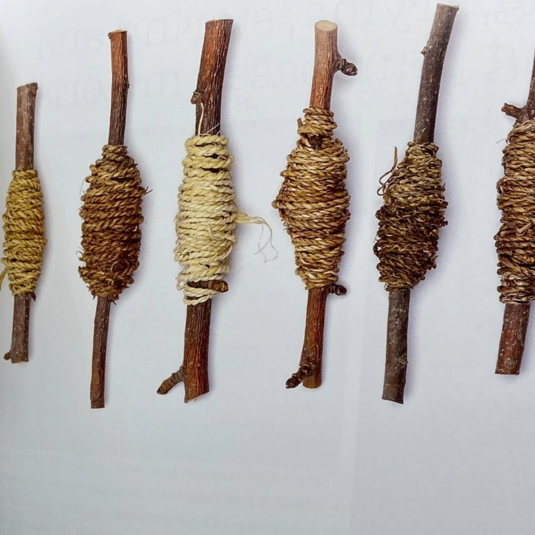 Wild Textiles: Grown, Foraged, Found by Alice Fox.