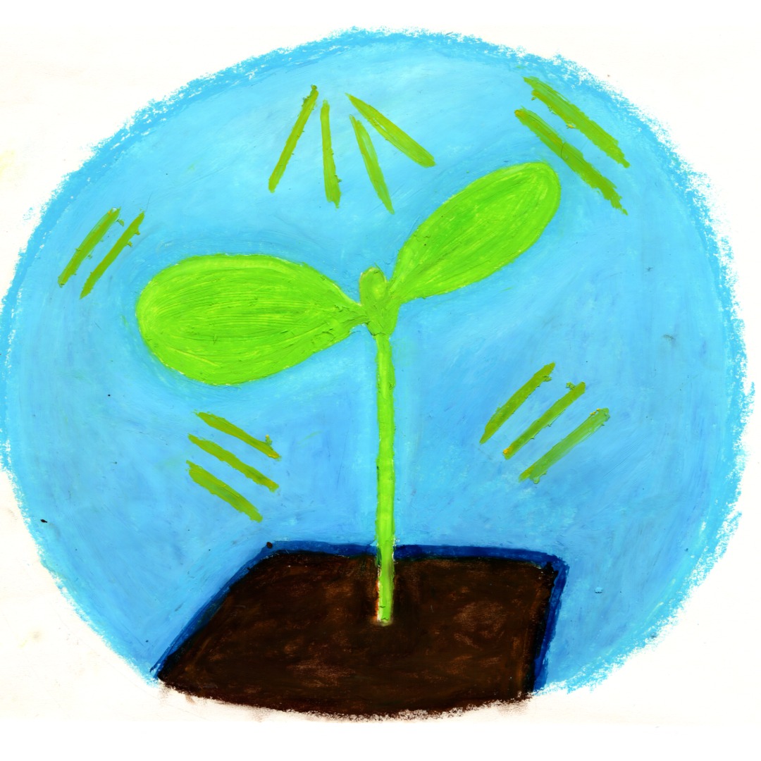 drawing of plant growing for seed swap event